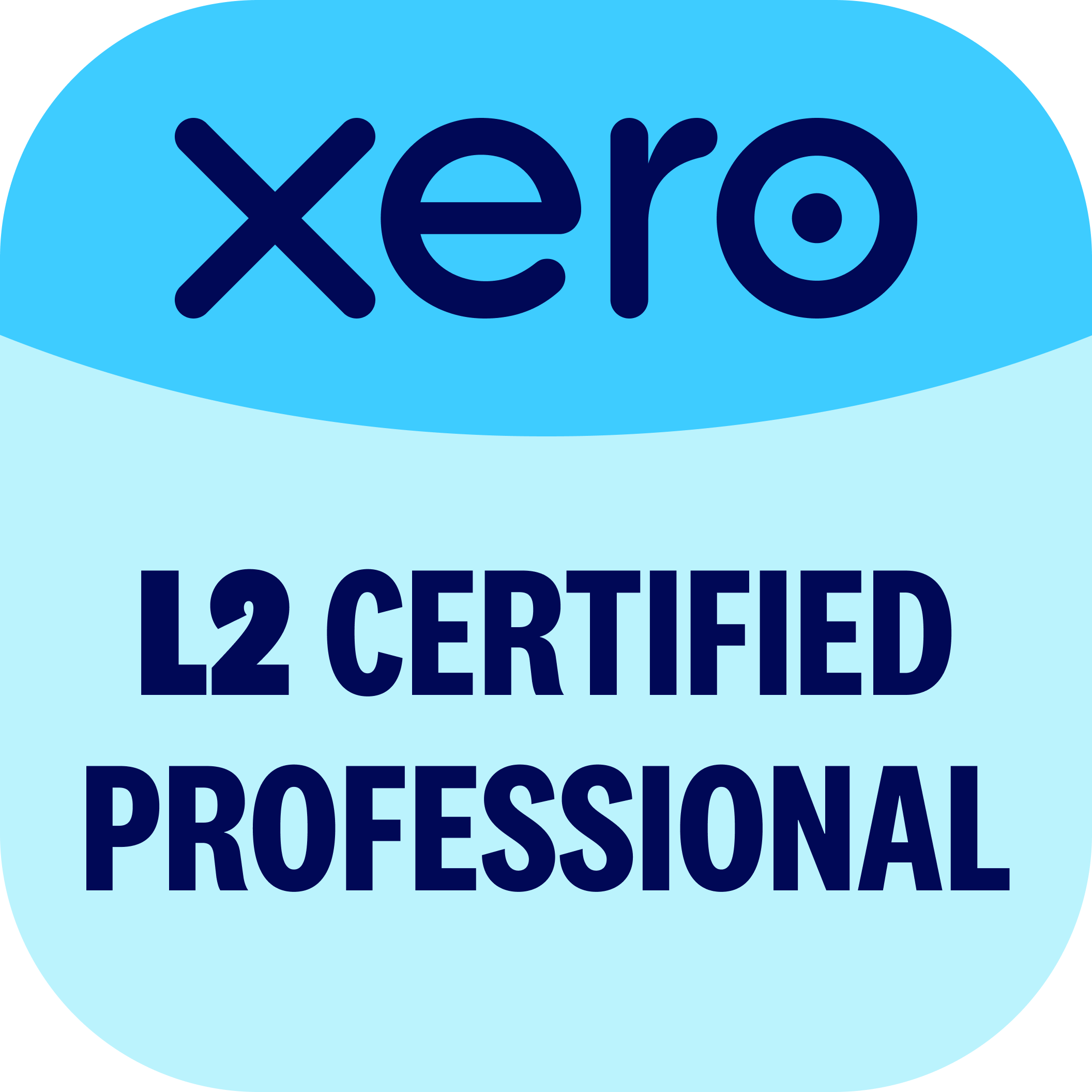 Xero Level 2 Certified Professional badge
